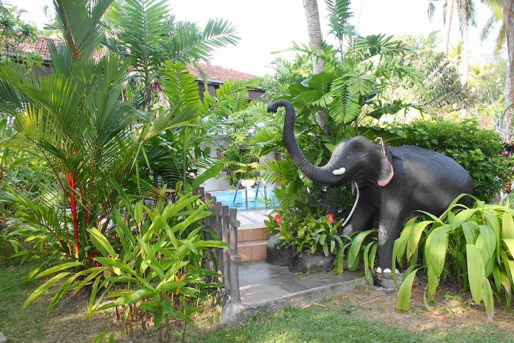 Pahalage Guesthouse Beruwala Esterno foto
