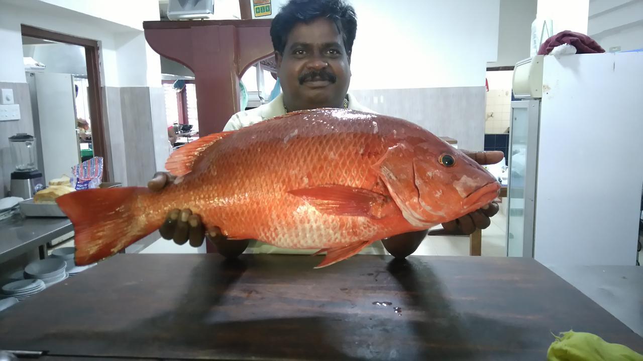 Pahalage Guesthouse Beruwala Esterno foto